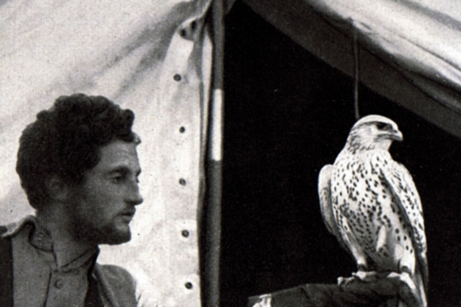 Полярник и орнитолог Ханс-Роберт Кнеспель, 1938 г. Фото: Википедия